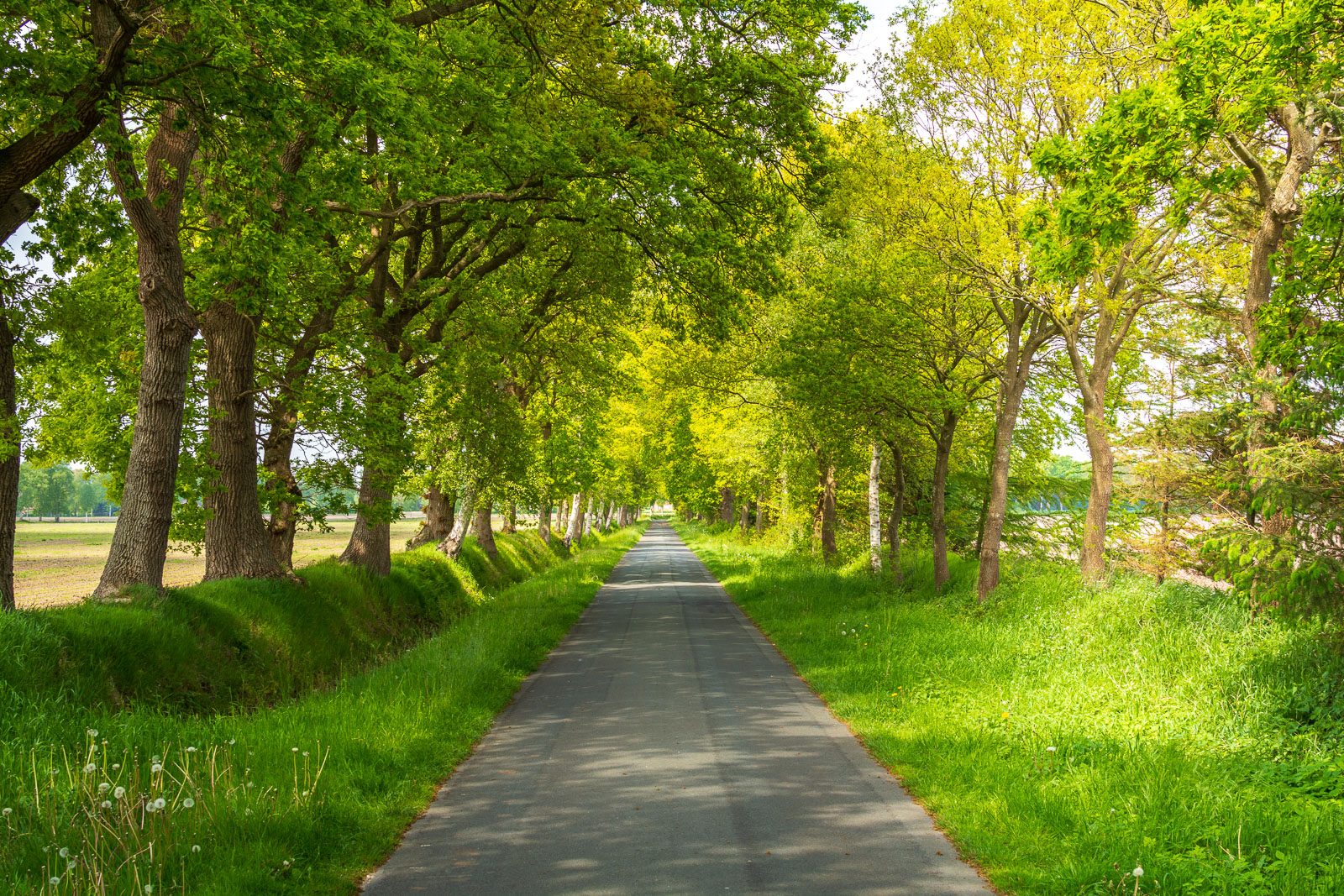 Mühlenweg in Grünenkamp